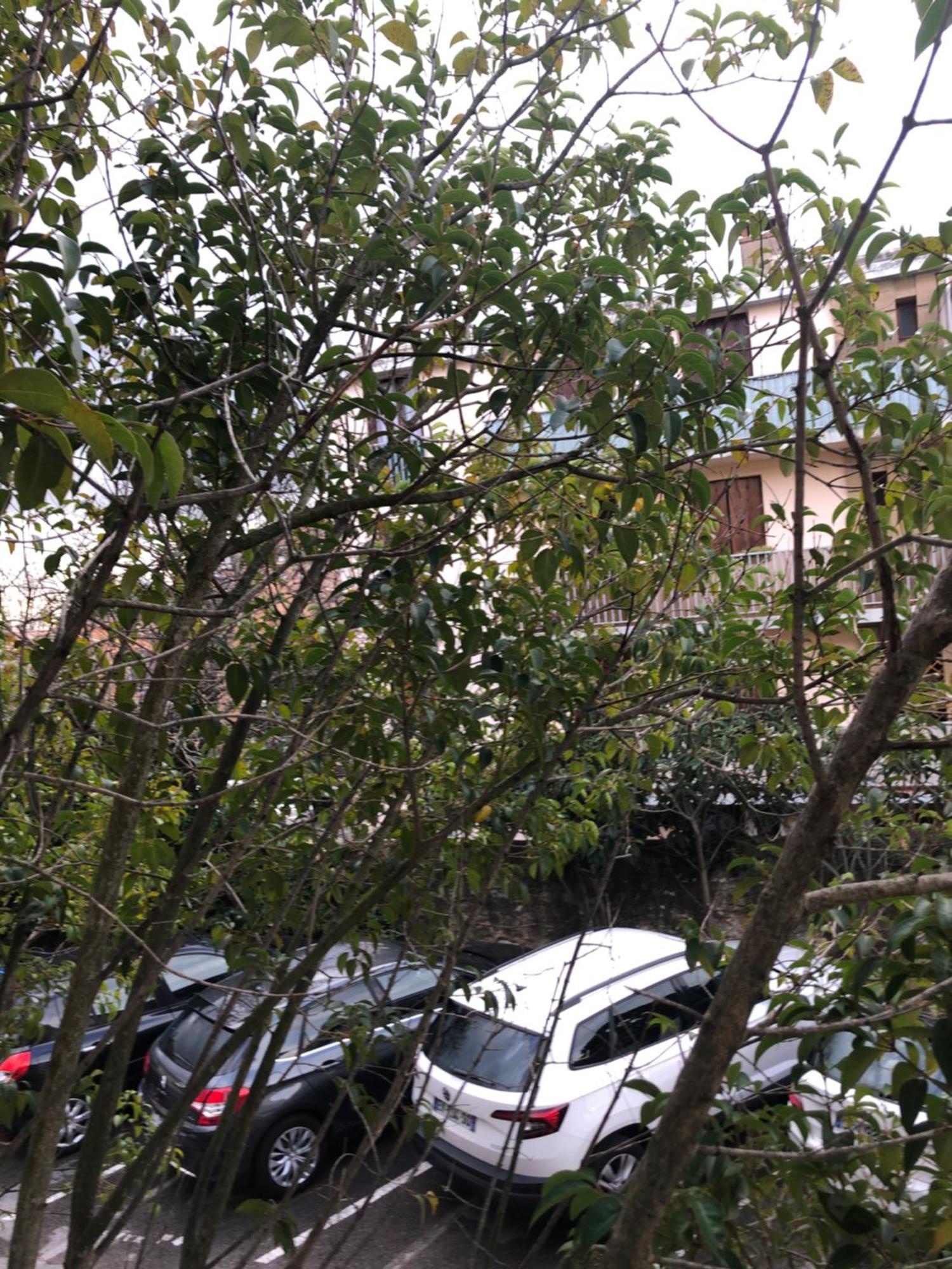 Logement Promenade De La Torse A Aix-En-Provence Kültér fotó